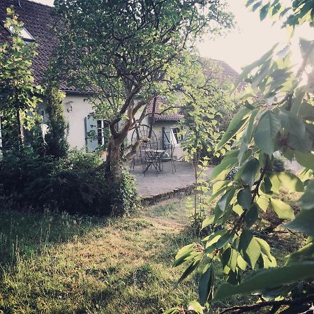 Maison D'Hotes Des Mondfaenger Meisenthal Exterior foto